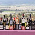 2025 Shiraz SA Challenge reveals top SA wines