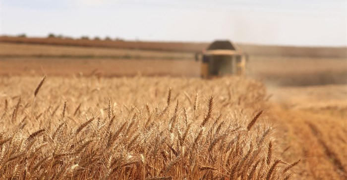 Source: meriç tuna on