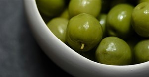 SA Olive Awards 2025 judging panel revealed