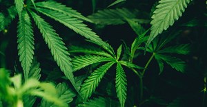 Image credit: Matthew Brodeur on Unsplash