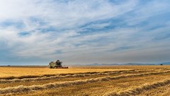 Source: josealbafotos via