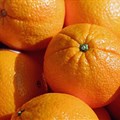 Citrus export estimates revised upward as demand surges