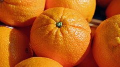 Citrus export estimates revised upward as demand surges