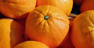 Citrus export estimates revised upward as demand surges