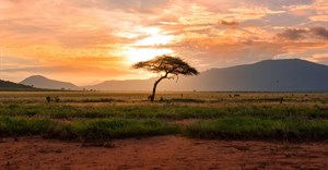 Image credit: Damian Patkowski on Unsplash