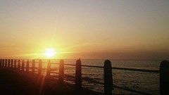 Source: Wikimedia Commons.