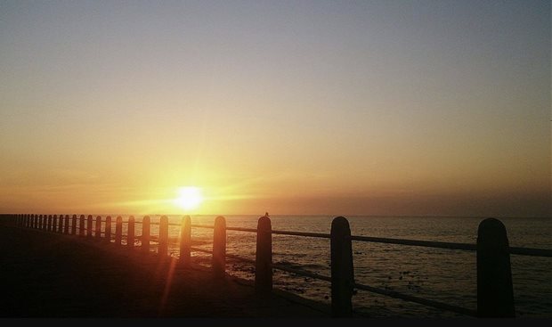 Source: Wikimedia Commons.