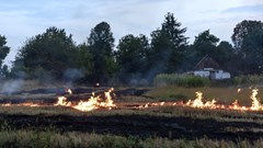 Source: pvproductions via