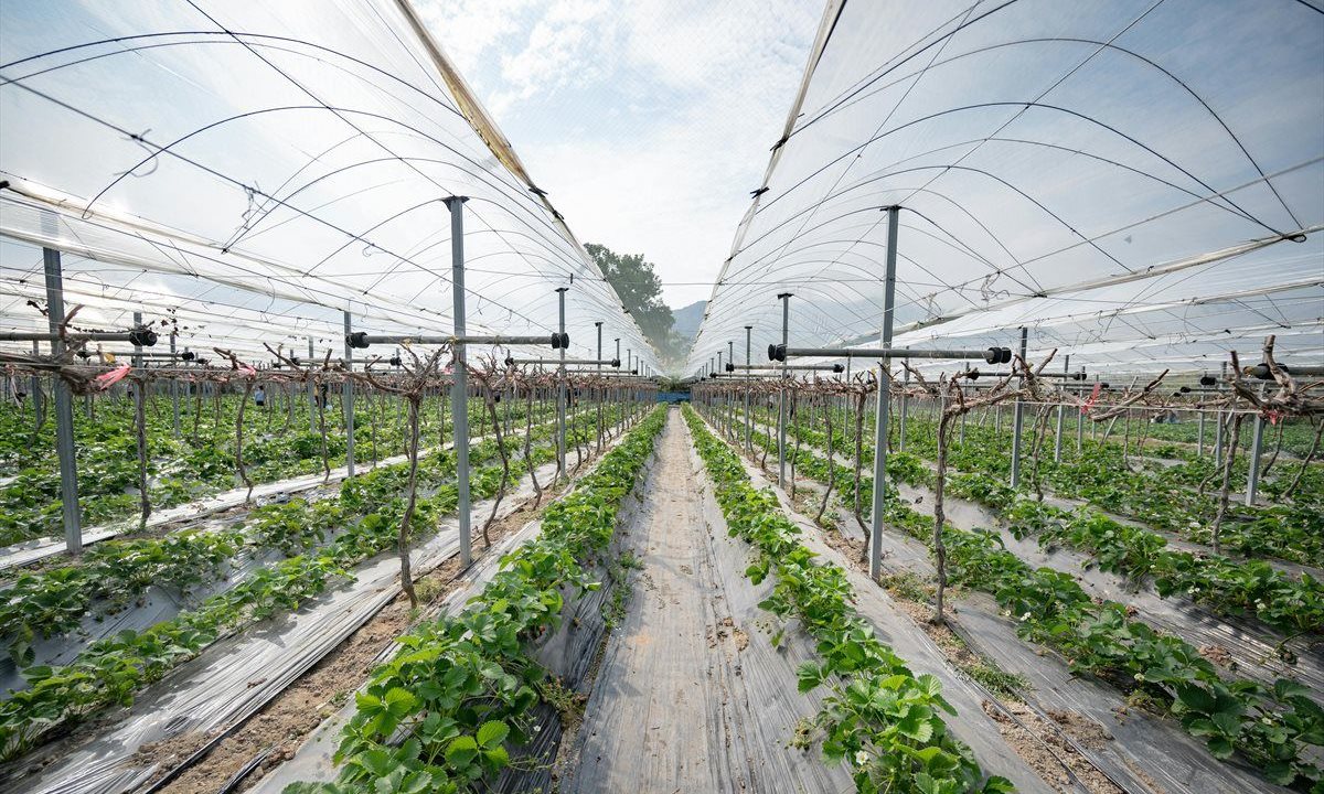 Source: Simon Kan via