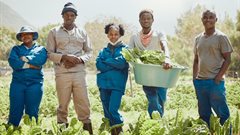 Beyond the harvest: why funeral cover counts