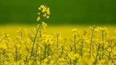 Source: wirestock via