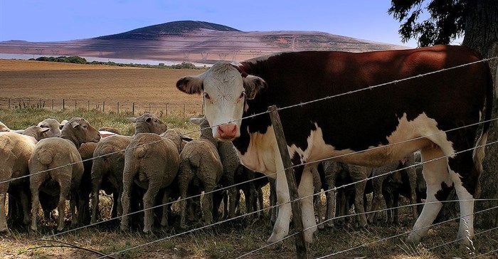 Source: Lollie-Pop via