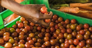 Better data strengthens food supplies in West Africa