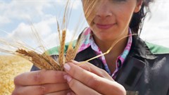 Women in agriculture: Cultivating growth and transforming communities