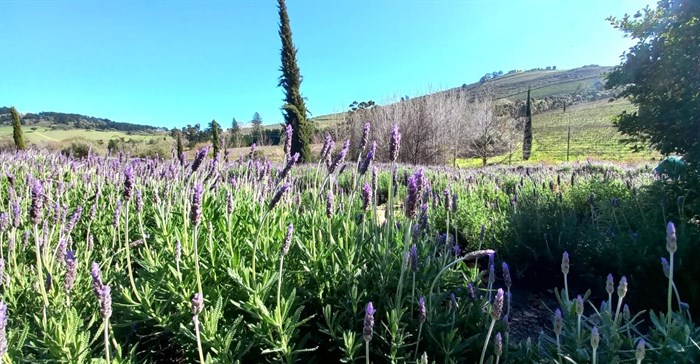 Source: Robin Fredericks