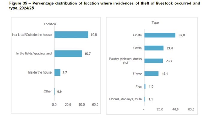 Rising livestock theft poses risk to SA farmers