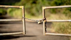 Rising livestock theft poses risk to SA farmers