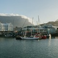 Inside the V&A Waterfront's data-driven retail revolution