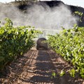SA takes first step toward modernised pesticide governance