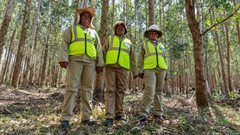 Celebrating the women who are driving change in local communities