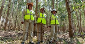 Celebrating the women who are driving change in local communities