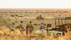 Tswalu launches first wildlife-based carbon credit project in Southern Africa