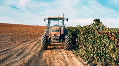 Source: HelloDavidPradoPerucha via