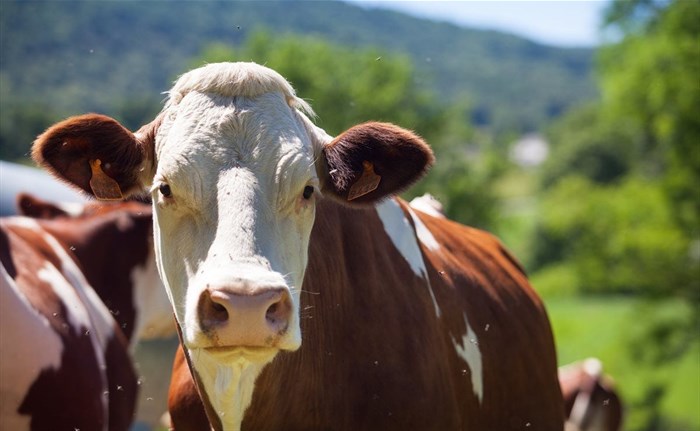 Source: wirestock via