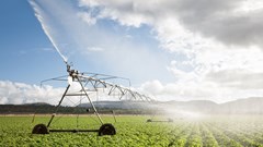 SA agribusiness confidence holds despite livestock, trade concerns