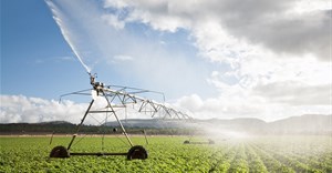 SA agribusiness confidence holds despite livestock, trade concerns