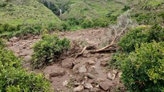 Image credit: Reuters