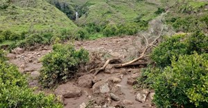 Image credit: Reuters