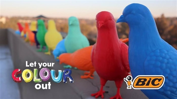 BICGeons land, students steal the show (and a few birds)