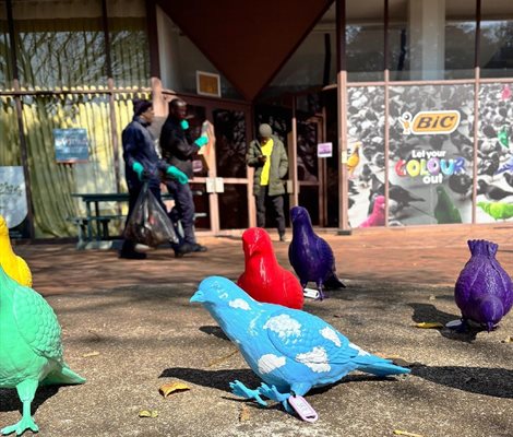 BICGeons land, students steal the show (and a few birds)