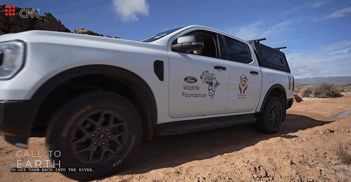 #Orchids&Onions: Ford drives conservation forward, Platinum Life stalls on trust