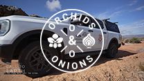 #Orchids&Onions: Ford drives conservation forward, Platinum Life stalls on trust