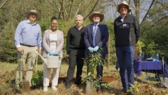 Celebrating Arbor Month: Sappi&#x2019;s commitment to indigenous forests