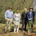 Celebrating Arbor Month: Sappi&#x2019;s commitment to indigenous forests