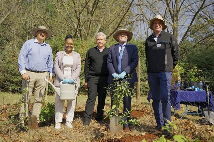Celebrating Arbor Month: Sappi&#x2019;s commitment to indigenous forests