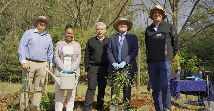 Celebrating Arbor Month: Sappi&#x2019;s commitment to indigenous forests