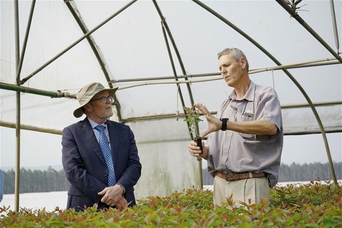 Celebrating Arbor Month: Sappi&#x2019;s commitment to indigenous forests