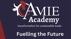 Fuel the future: AMIE Academy Fund
