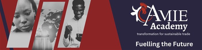 Fuel the future: AMIE Academy Fund