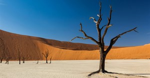 Image credit: on Pexels