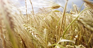 Another strong quarter as agriculture GDP surges 2.8% in Q2 2025