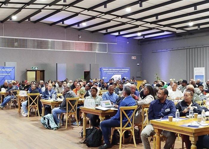 Source: Western Cape Department of Agriculture