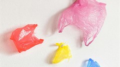 Image credit:  on Pexels