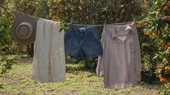 Image credit: Dakota Spencer on