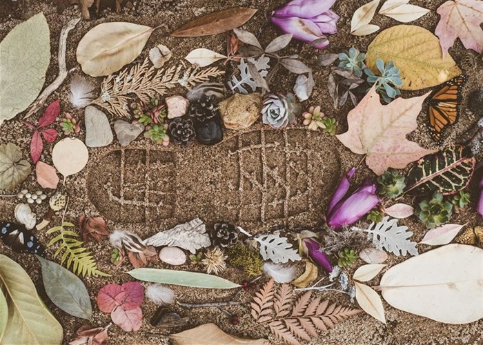 One Carbon World joins Carbon Markets Africa Summit as official climate impact partner