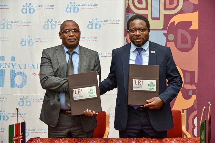 From left to right: Dr Kimutai Maritim, Acting Managing Director, Kenya Dairy Board, and Appolinaire Djikeng, Director General, International Livestock Research Institute (ILRI) | Credits: Saleef Nyambok/ILRI